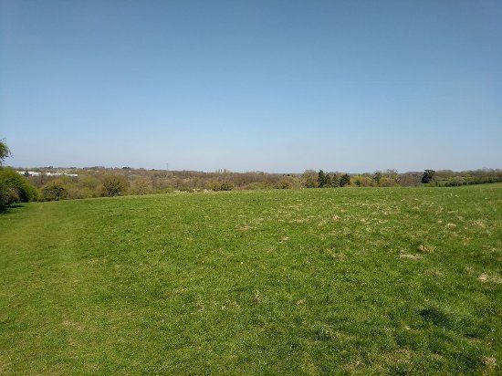 Basingstoke Common